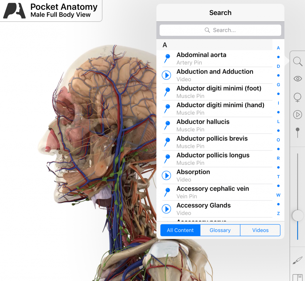 Medical Terminology Greek Roots Latin Roots Medical Jargon Pocket